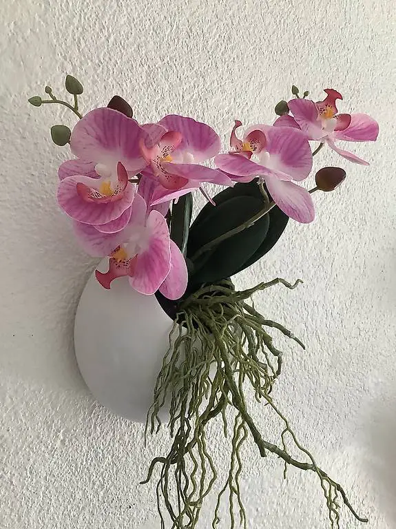 Wandschmuck Orchidee