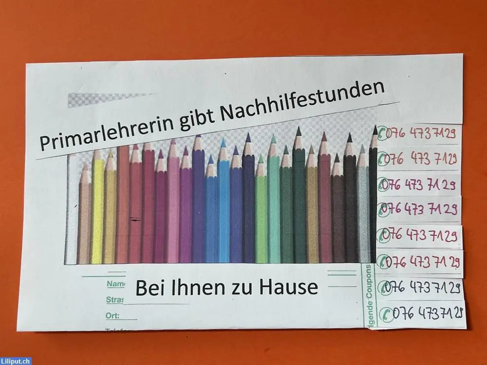 Primarlehrerin gibt Nachhilfestunden bei Ihnen Zuhause