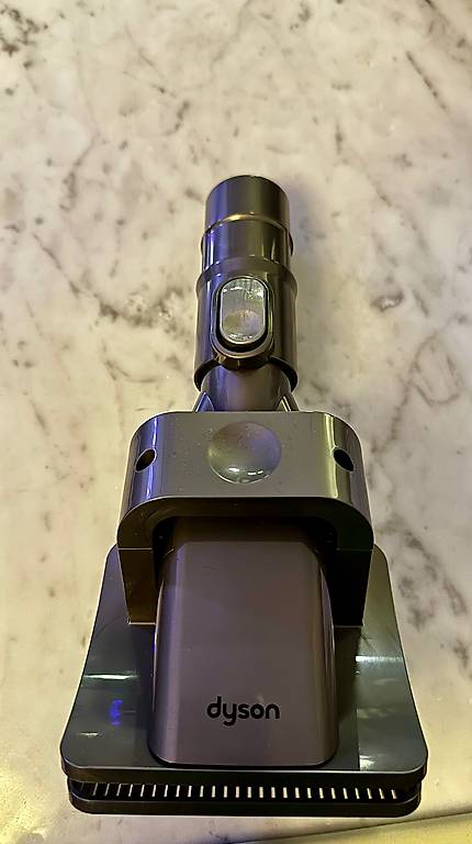 Dyson Groom Hundebürste