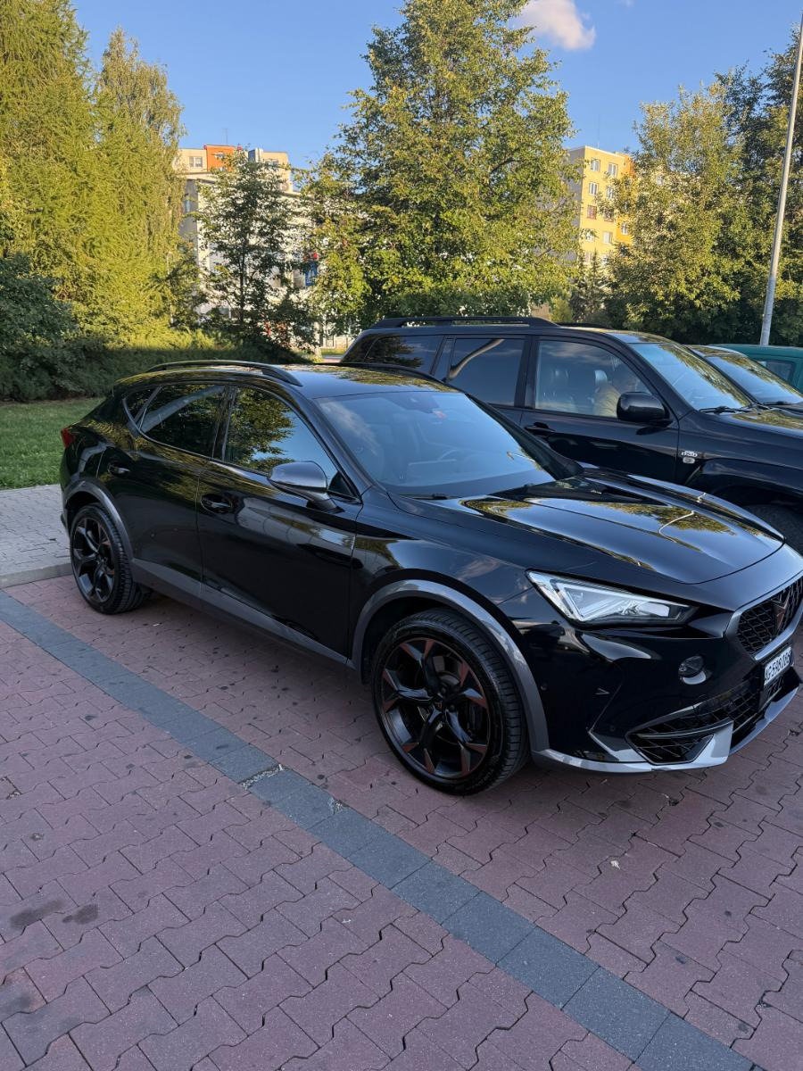 cupra formentor 2.0 tsi vz 4drive dsg