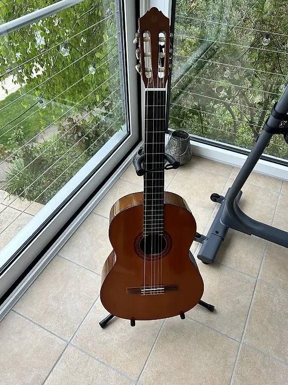 Gitarre mit Ständer/Stimmgerät