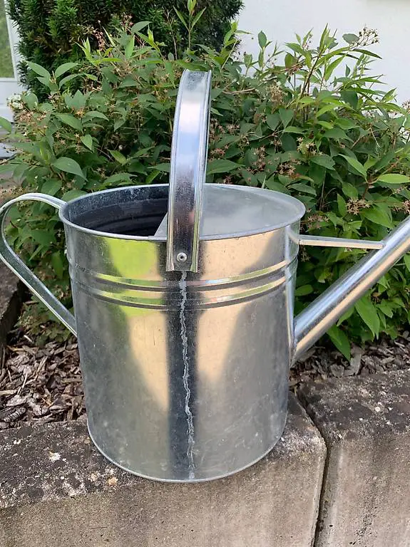 Giesskanne von Hestera 10 Liter