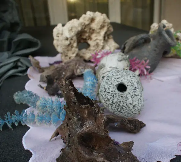 Utensilien für Aquarium