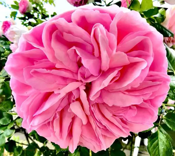 Homme 48 ans cherche femme entre 66 et 76