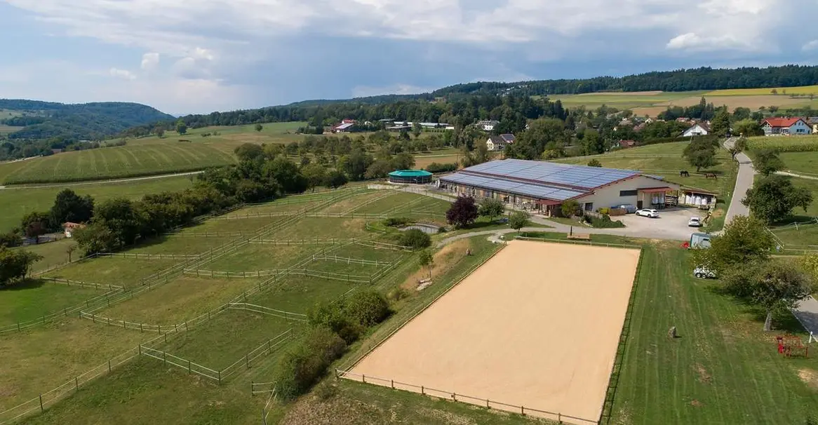 Pferdeboxen mit Paddock frei, Nähe Eglisau/ Wil ZH