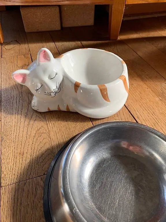 Fressnäpfe katzen und hunde