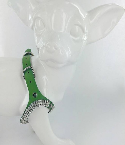  F+M Geschirr EIGHT grün für Chihuahua, Gr.S