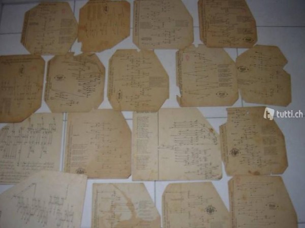  70 alte ,über hundett jährige Zitther Mu...