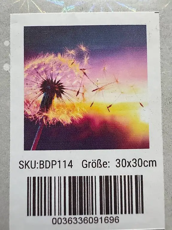 Diamond Painting Set Pusteblume