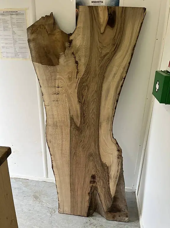 Nussbaum Platte / Tisch