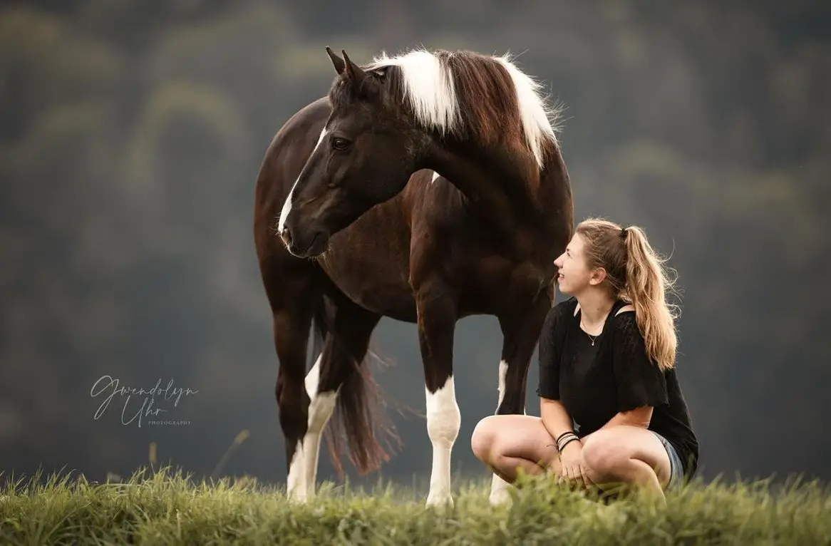 Spazierbeteiligung gesucht: ) Schliern bei Köniz