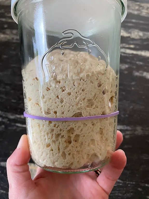 Lievito Madre (Sauerteig) zu verkaufen