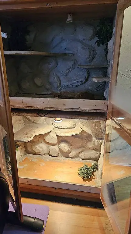 Selbstgebautes Terrarium