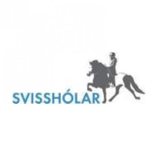 Pferdestallung SVISSHOLAR