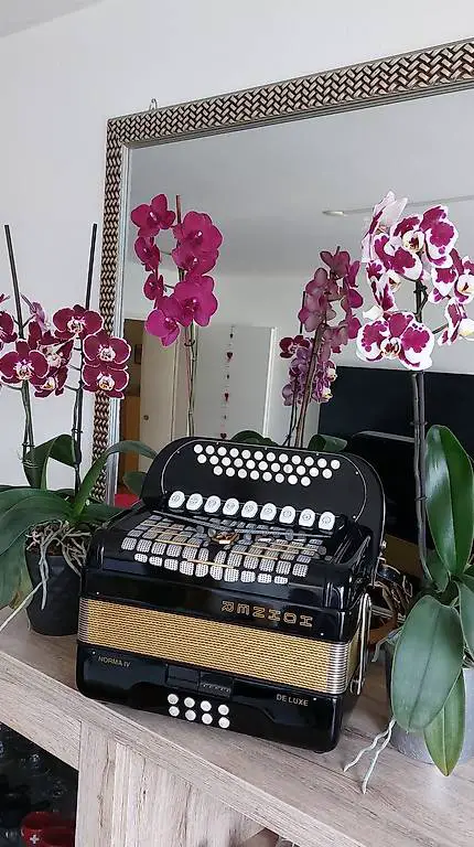 Akkordeon Hohner Norma IV DE Luxe
