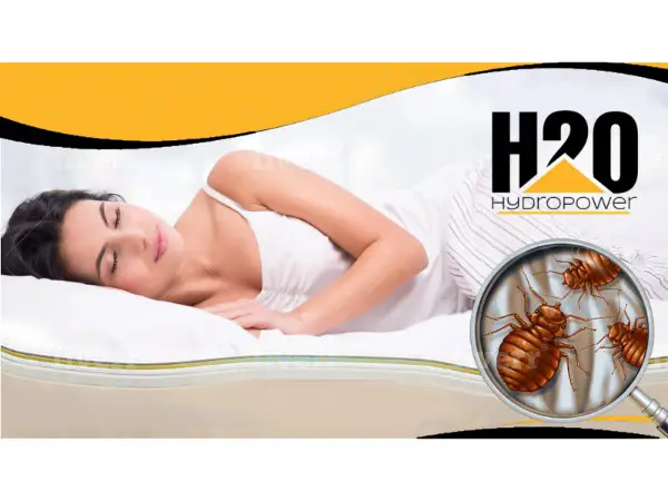 Matratzen Tiefenreinigung für Haushalt und Gewerbe