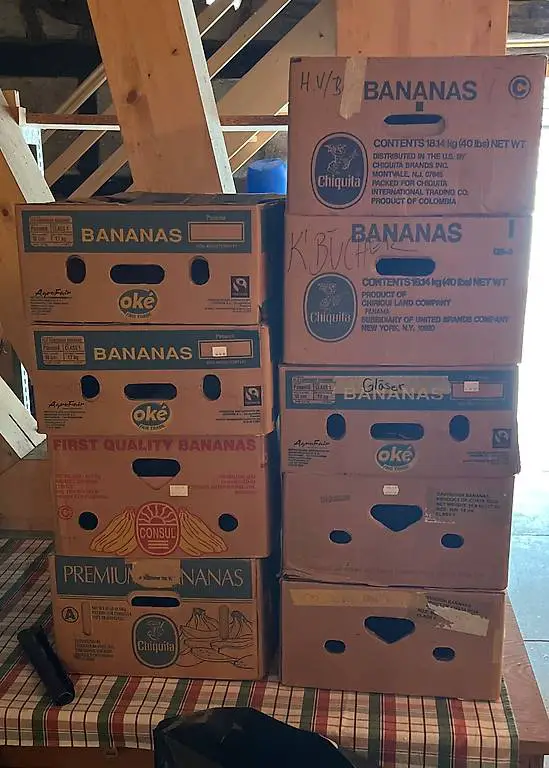 Bananenschachteln Gratis