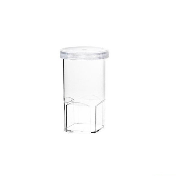 ca 100 Stk Spiderling Aufzuchtdosen mit Deckel abzugeben