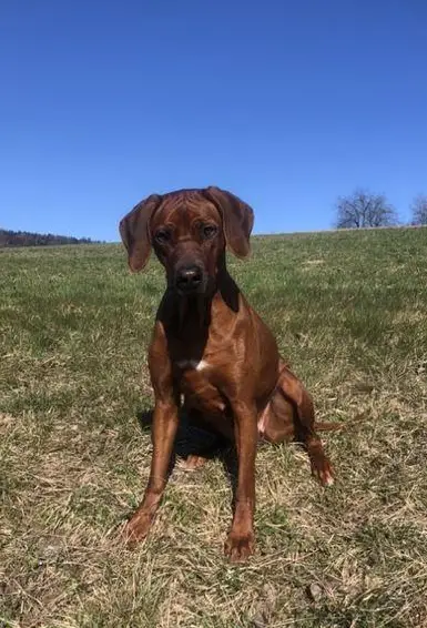 Suche Ferienbetreuung im Tausch gegen Ferienbetreuung: -)
