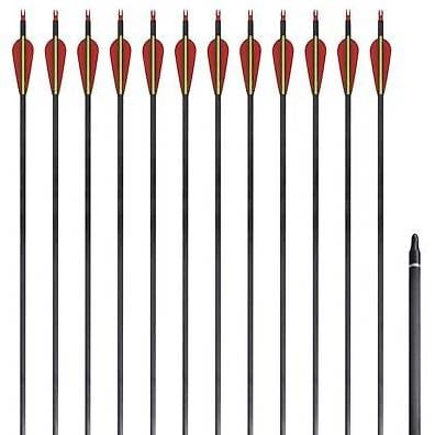 Recurvebogen-Pfeile 30" 0,76 cm Carbon 12 Stk. 16948646