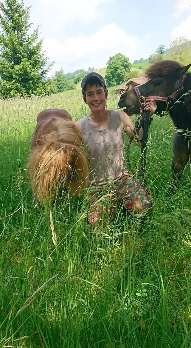 SUCHE Selbstversorgerstall für 4 Shettys, Berner Oberland