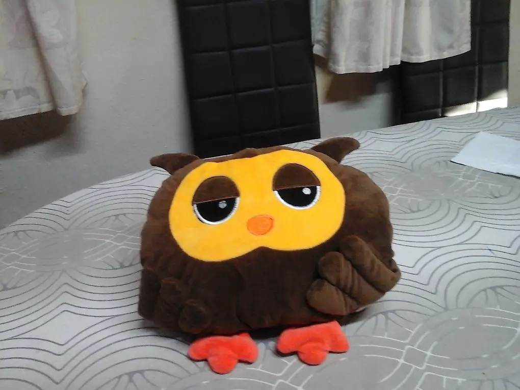 Eulen- Wärmekissen (Bett Flaschen) ,Haarföhn, Grill Motor