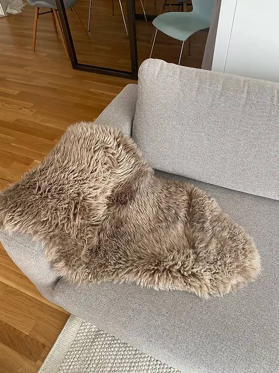 Schaffell in braun/violett, Deko