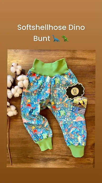 Neue selbstgenähte Softshellhose Dinos bunt