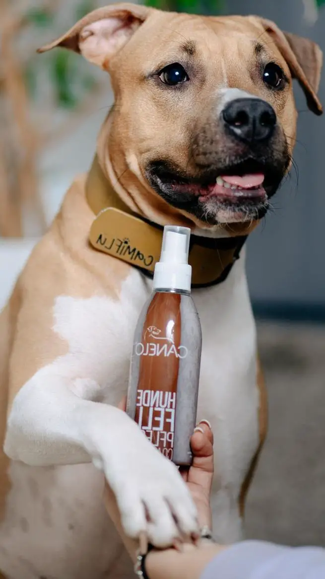 Hunde Fellpflegespray | 200 ml | CANELO rein natürlich