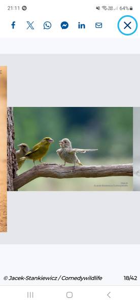 Pour rompre solitude...