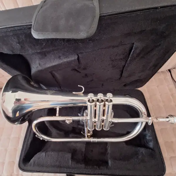 Flügelhorn B FH 600 GS