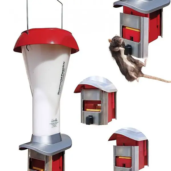  Rattensicherer Geflügel-Futterspender mit Schädlingsabwehr