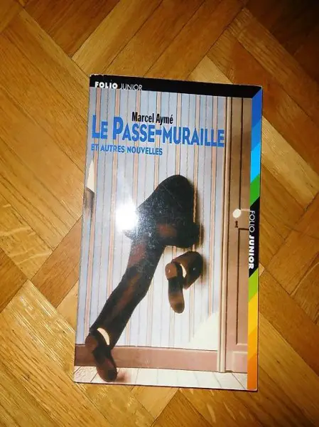 livre le passe muraille