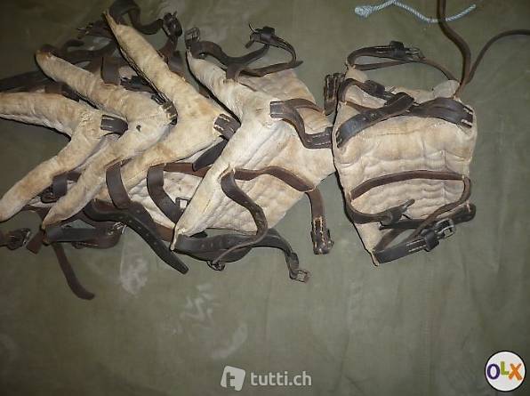 Armee Kummetspitz Militär / Pferde Kummet