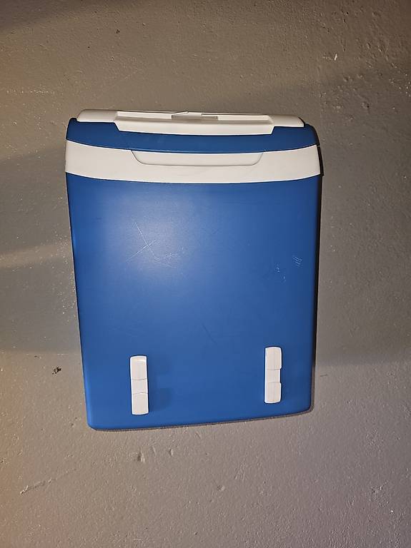 kühlbox elektrisch