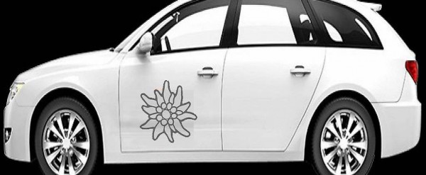  Edelweiss - Aufkleber in verschiedenen Farben und Grössen