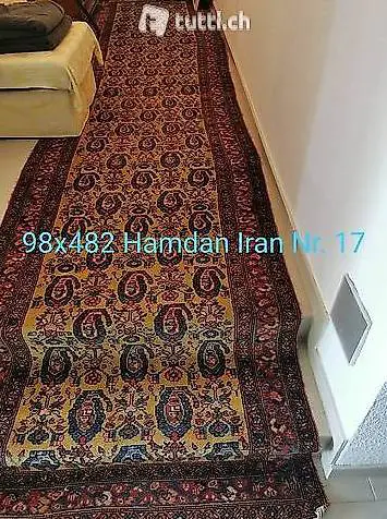 Orientteppich Hamdan Iran 482x98cm