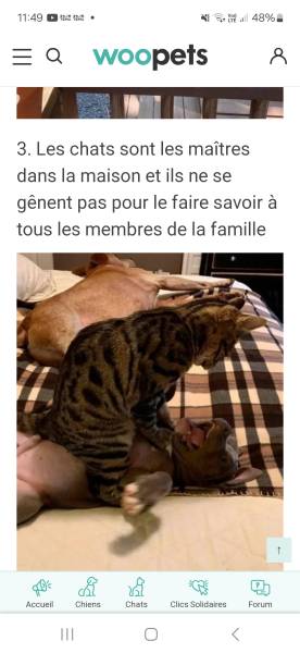 Pour amitié uniquement