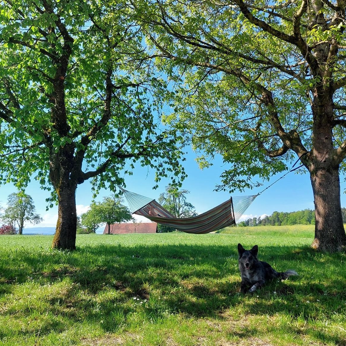 WG-Zimmer frei in grossem Haus mit Umschwung