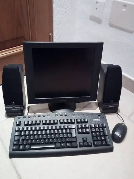 Schermo Sony per pc e accessori