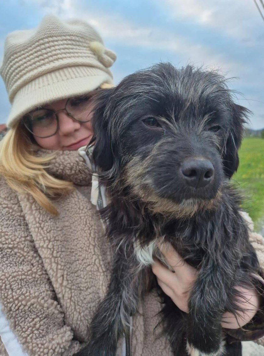 Hündin Paula, 1,5-jährig, kastriert, geimpft, gechipt, 8kg