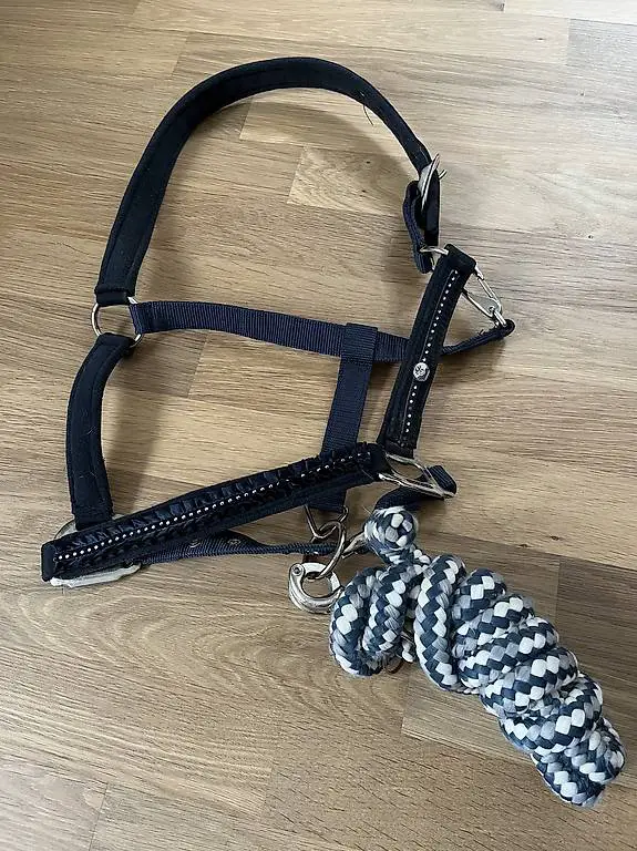 Felix Bühler Halfter