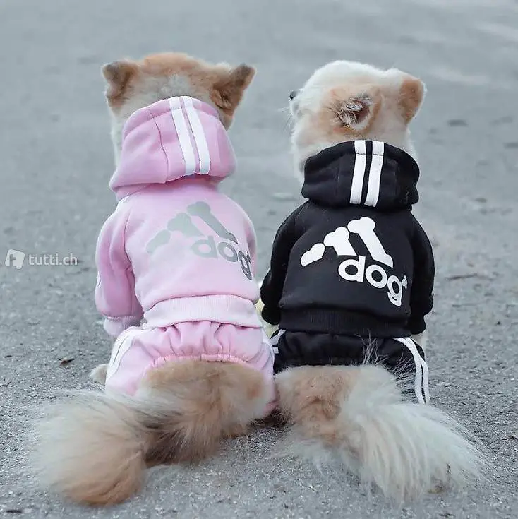  Hunde Pullover "ADIDOG"