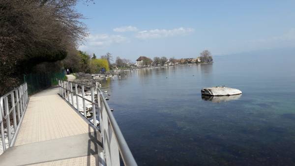 Femme cherche homme anibis (gratuit)