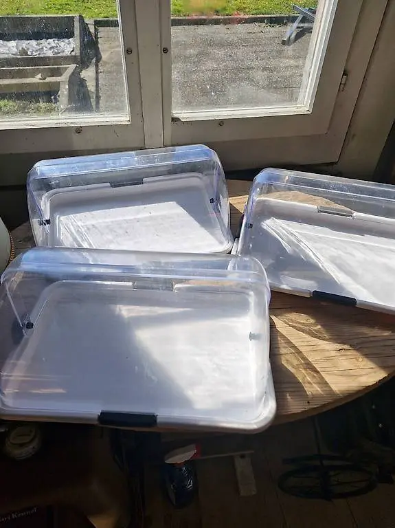 Käseglocke Aufschnittplatte Platte Teller NF