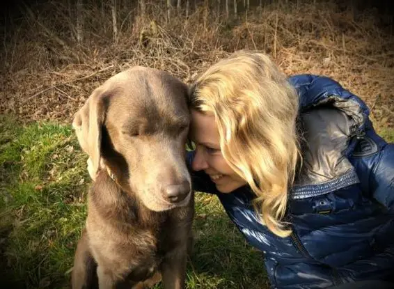 Jin Shin Jyutsu - Fernbehandlung für Dein Tier