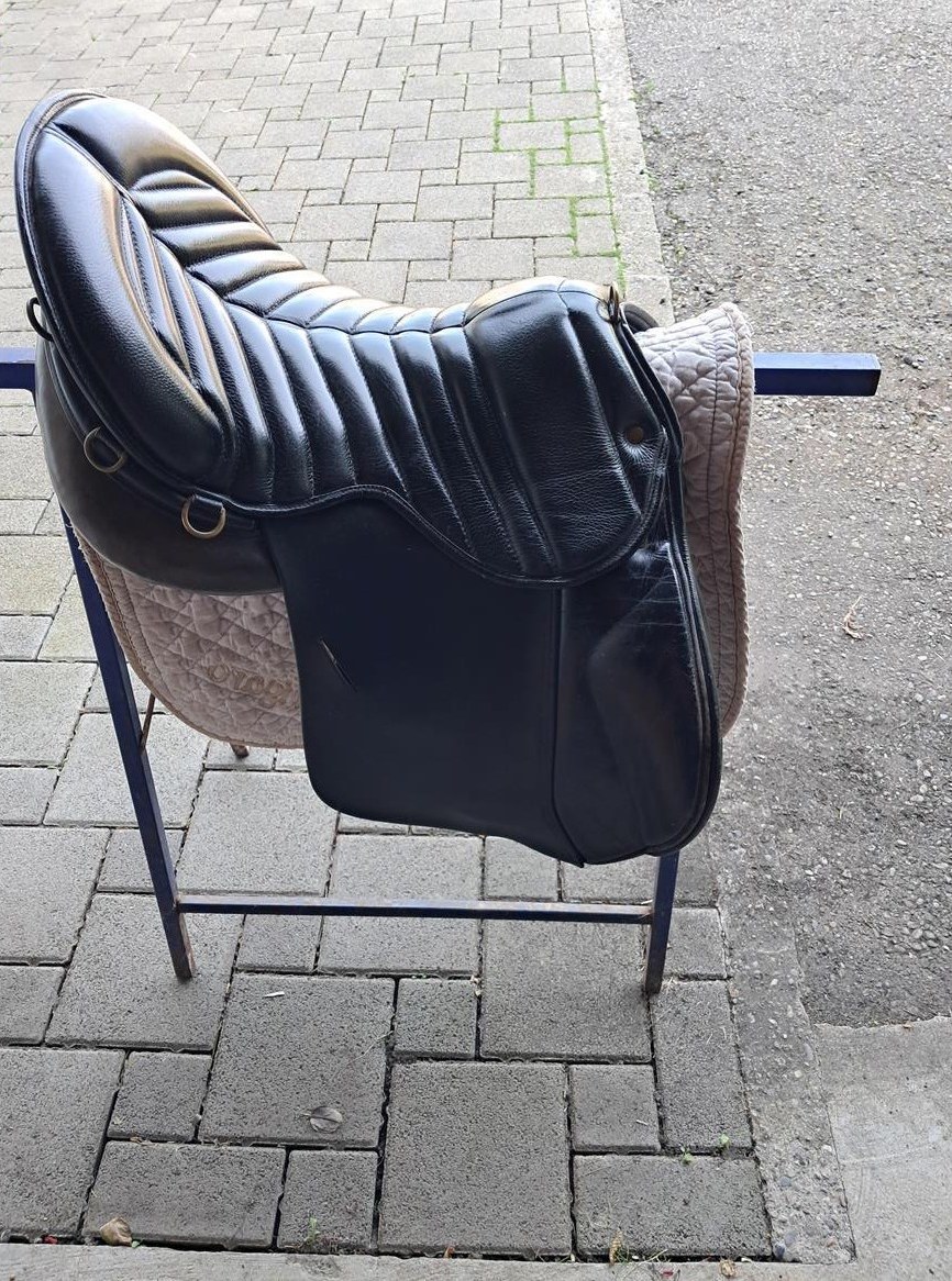 Spirig Vielseitigkeitssattel zu verkaufen