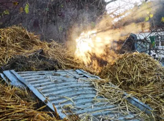 Stallhilfe gesucht in 8309 Nürensdorf