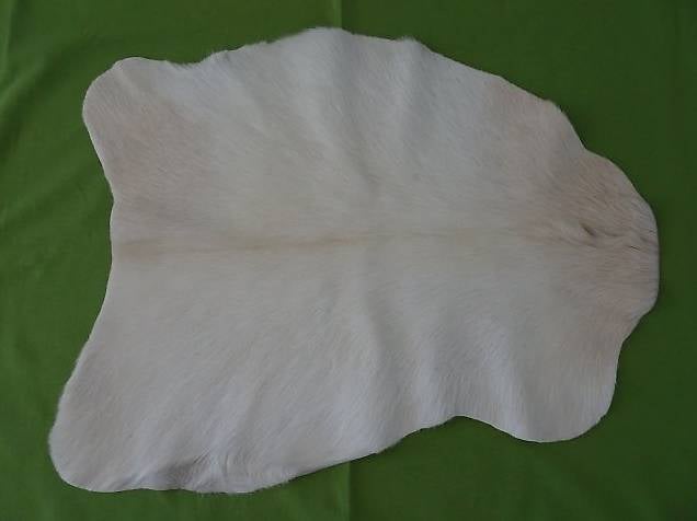 Fell. Ziegenleder, hell, ca. 70x54cm.