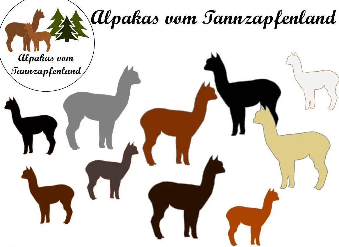 Alpaka Hengste und Stuten